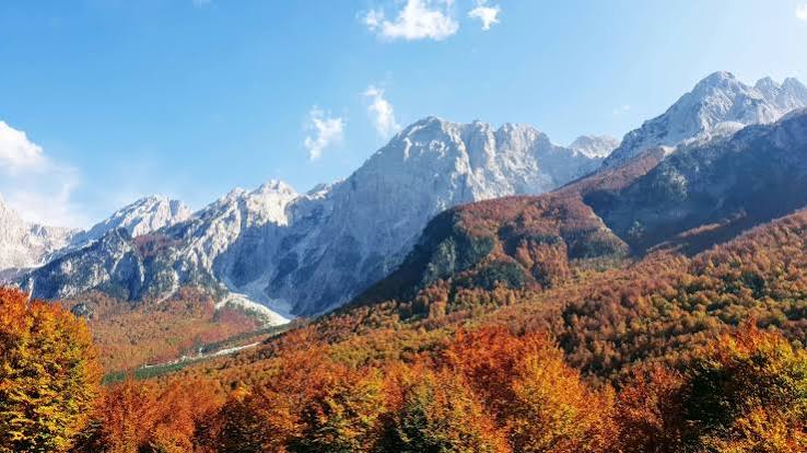 autumn colors