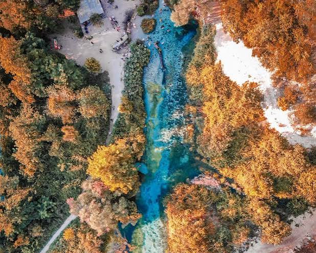autumn colors